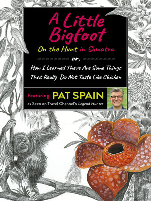 cover image of A Little Bigfoot